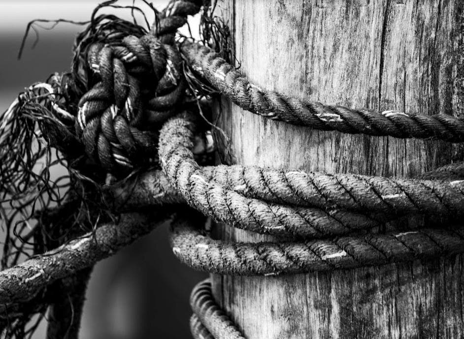 緊急処分綺麗なNikon F(富士山三角ファインダー)／作例あり