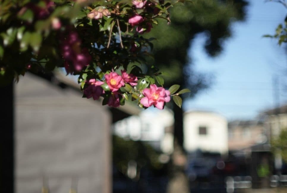 ☆最終値下げ☆ルサール　MP-2 20ｍｍ　f５.6 超希少レンズ