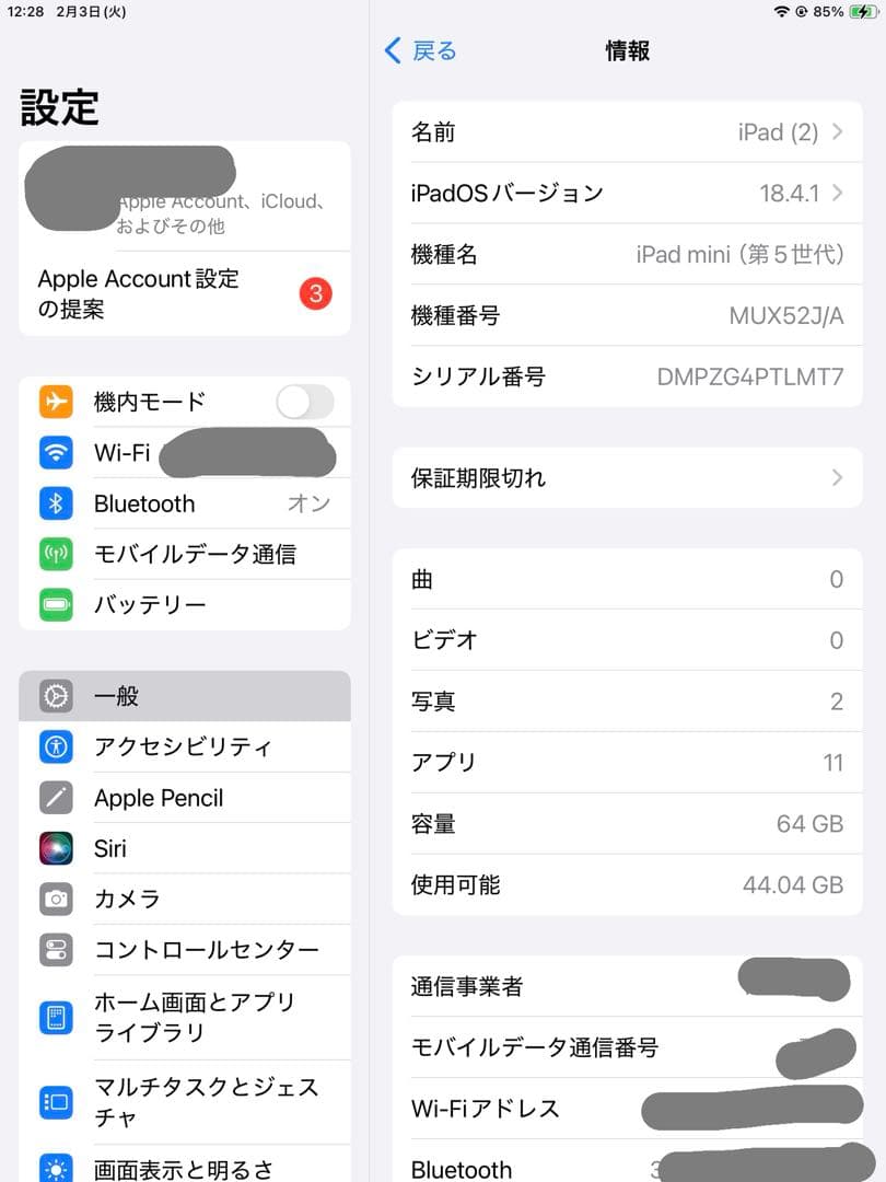 iPadmini 5 Wi-Fi Cellular 64GB バッテリー91%