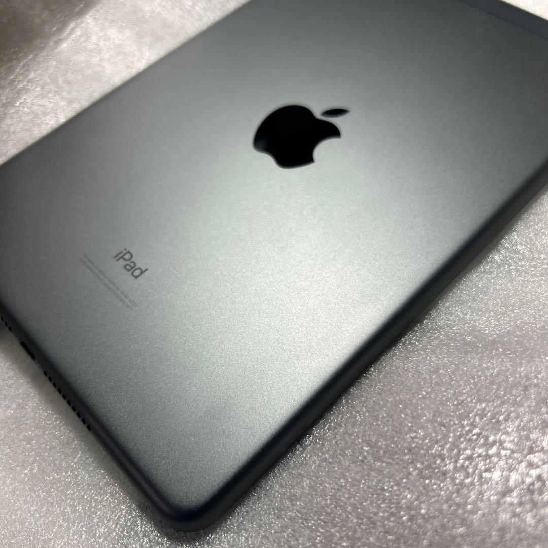 iPadmini 5 Wi-Fi Cellular 64GB バッテリー91%