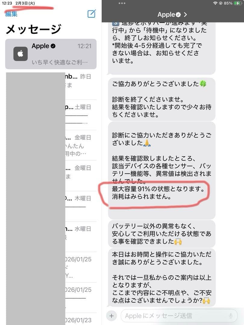 iPadmini 5 Wi-Fi Cellular 64GB バッテリー91%