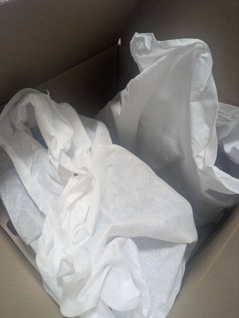 【最低価格】Roomba Combo 2 Essential／ルンバ