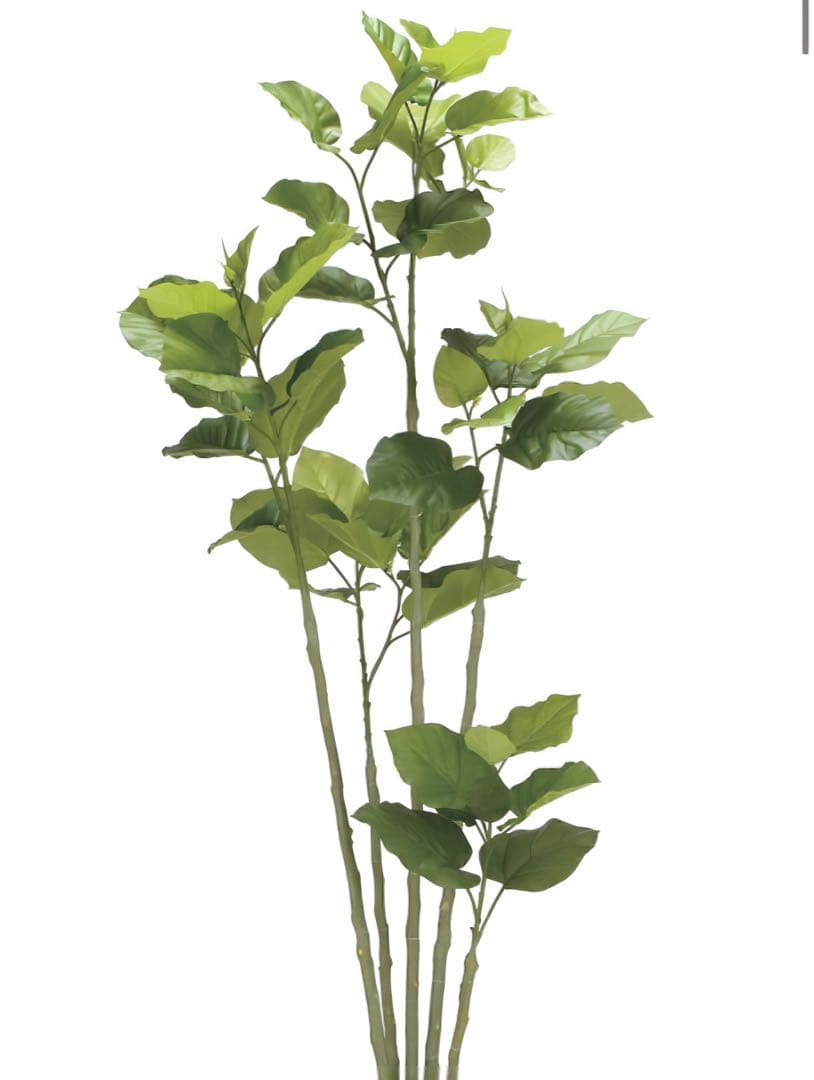 光触媒　人工観葉植物　フェイクグリーン　ウッドボックスウンベラータ1.8m