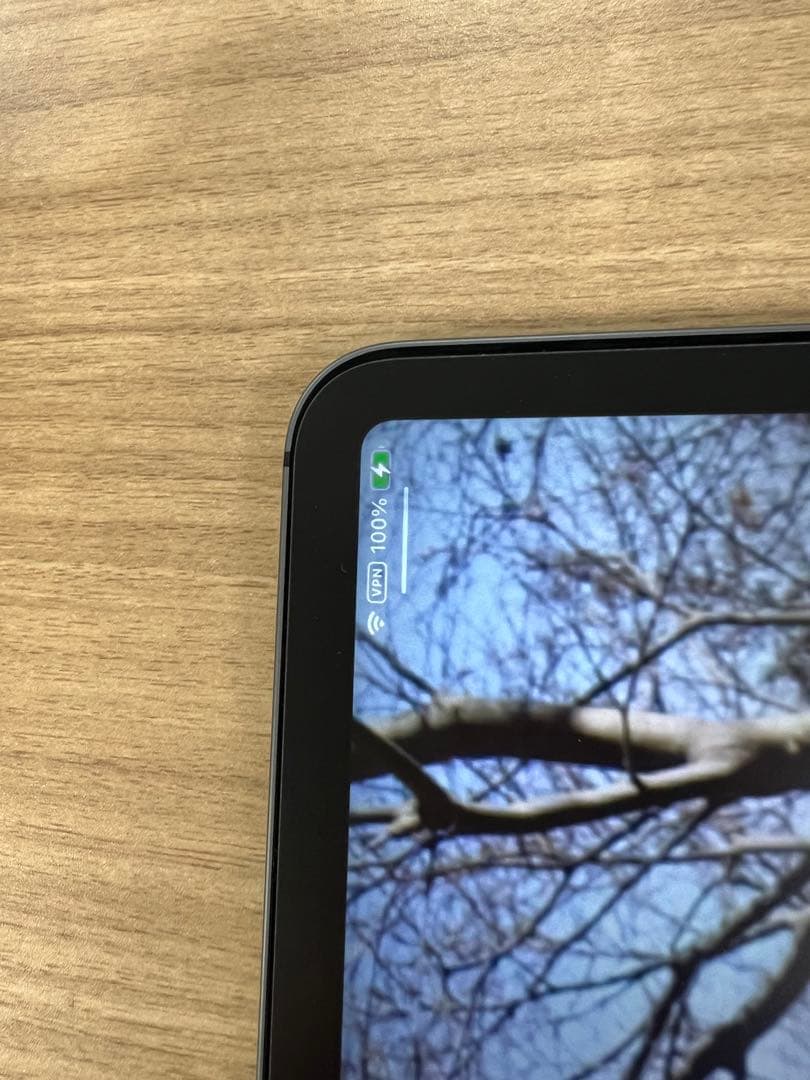 iPad Pro 11インチ 第1世代セルラー+ Apple Pencil