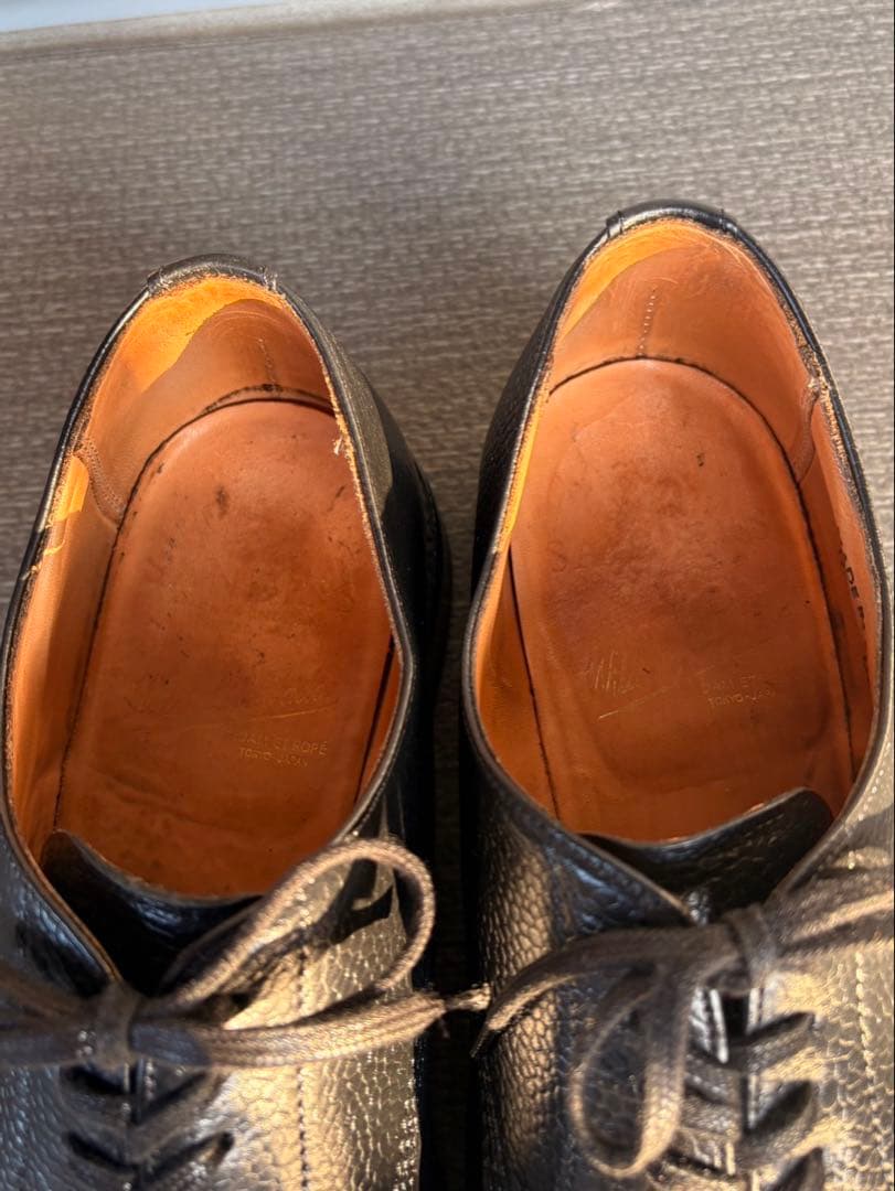 靴 Sanders Wild Life Tailor UK7.5