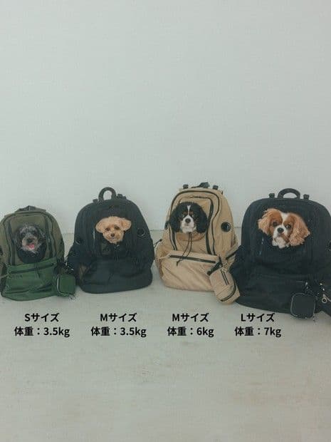 MATIE/ペットリュックＭ【Direction by 有末 麻祐子】