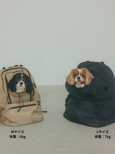 MATIE/ペットリュックＭ【Direction by 有末 麻祐子】
