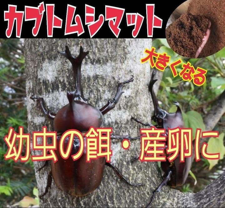 カブトムシ幼虫の大量飼育に！たっぷり100リットル【10袋】高品質の発酵マット
