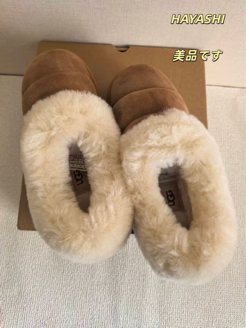 だんごむし様
