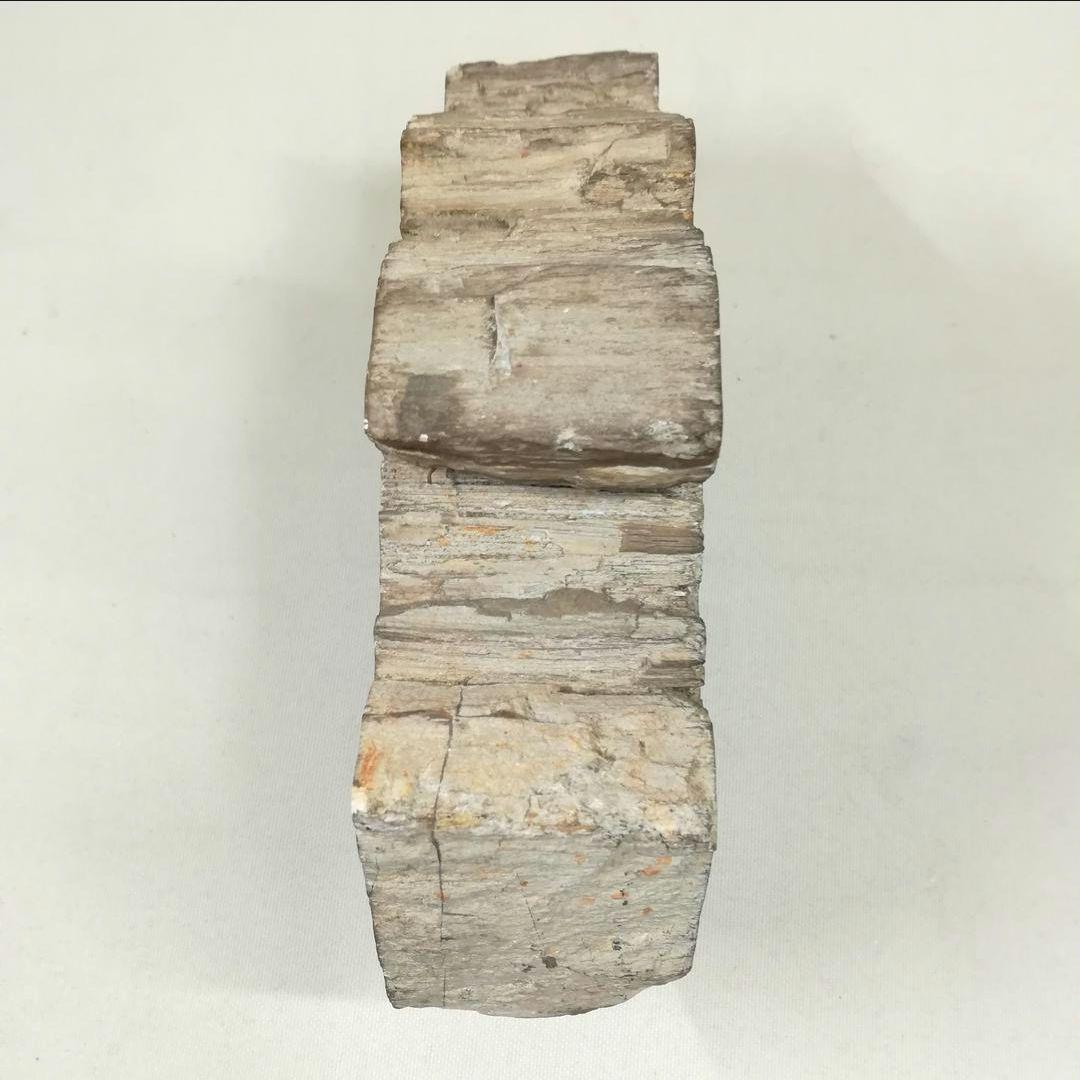 珪化木 木化石 置物
