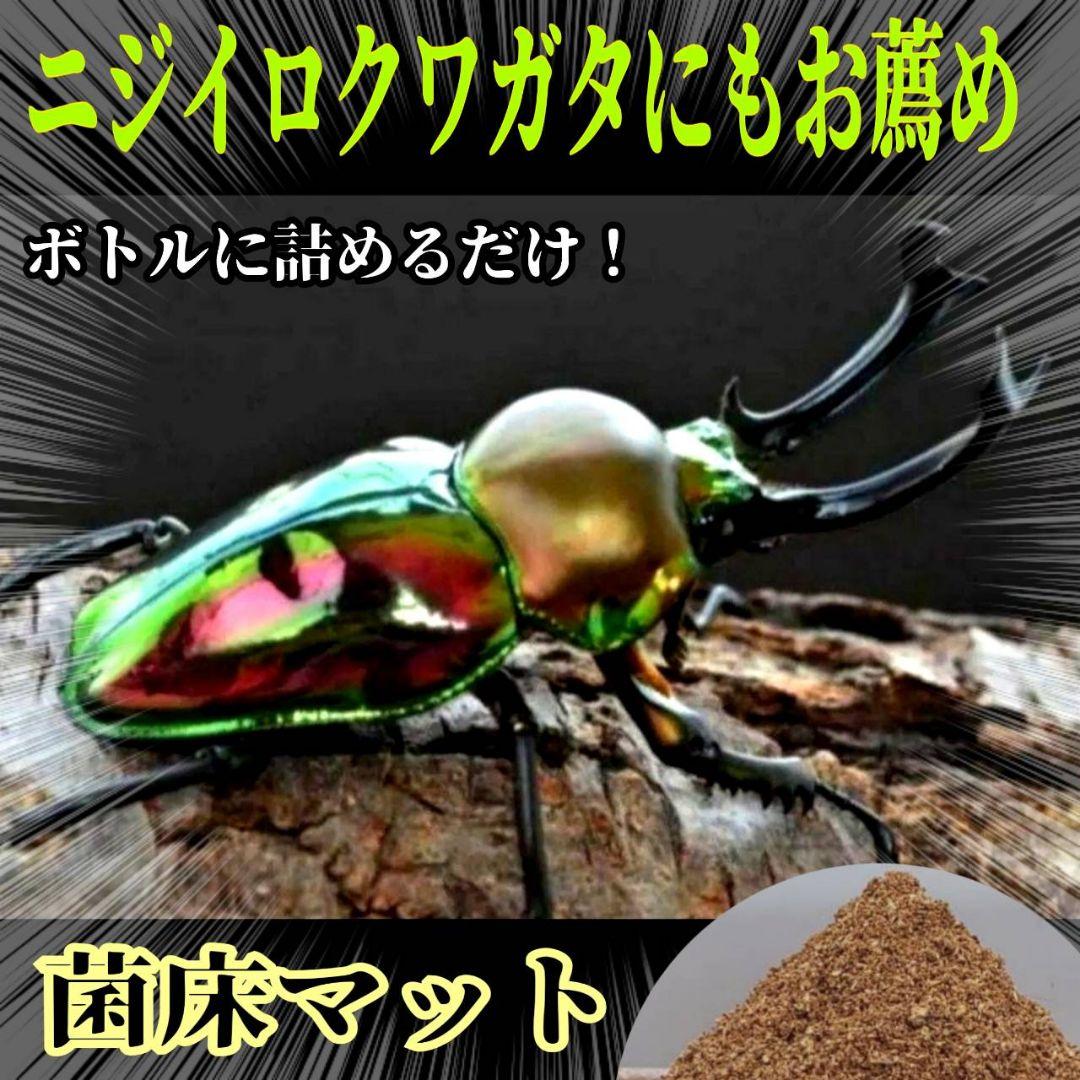 菌床粉砕クワガタマット【30L】ボトルやカップに詰めるだけ！菌糸瓶より経済的！