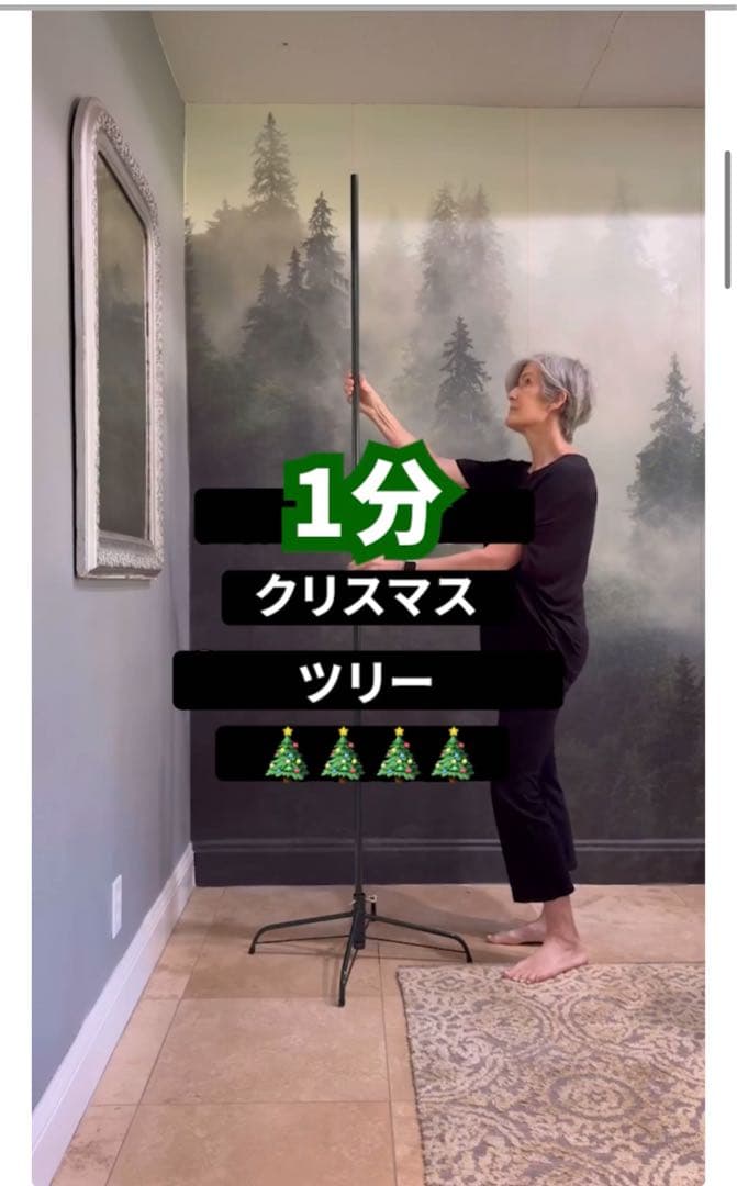 1分クリスマスツリー設営らくらく