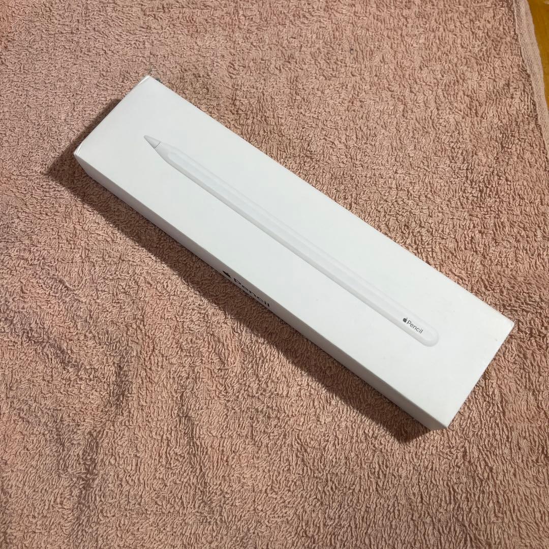 iPadPro11 第一世代 512GB wifiモデル 付属品あり　残量88%