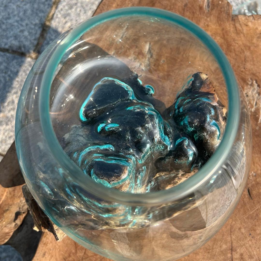 流木ガラス オブジェ特大D 花瓶 金魚鉢 ガーデニング テラリウム 観賞魚 容器