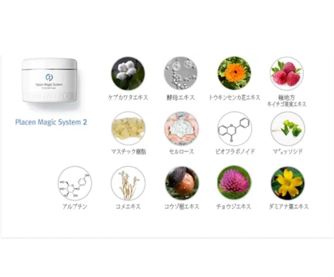 ルネセルRene-Cell Placen MagicSystem プラセン2個