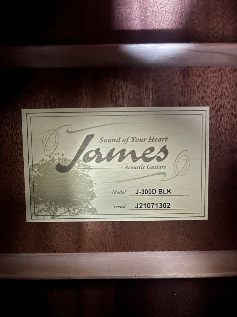 James アコースティックギター ブラック
