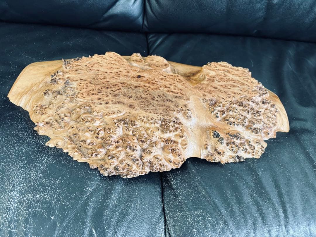 自然木の形状 大きめの木製置物 ５０cm 欅ケヤキ 激安大安売り
