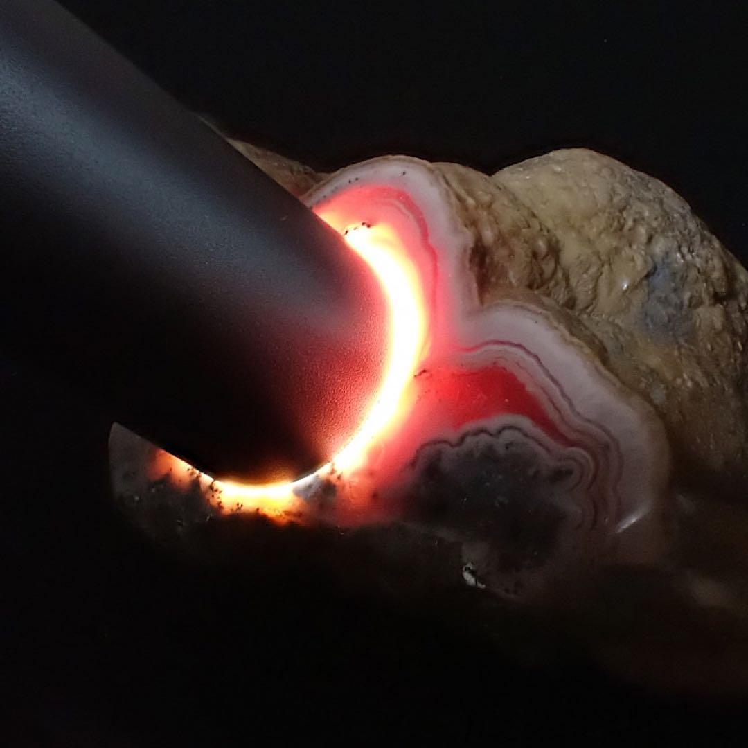 【ペルー産】インカローズ