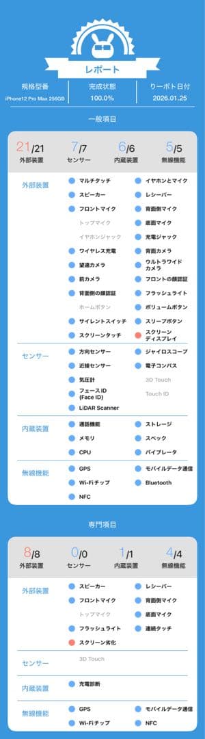 動作確認済み iPhone 12 Pro Max 256GB バッテリー100%