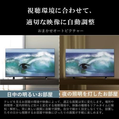 REGZA 50V型 4K液晶テレビ2023年製