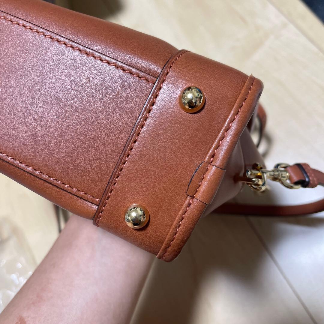 LOEWE AMAZONA 23 BAG ブリックレッド　中古