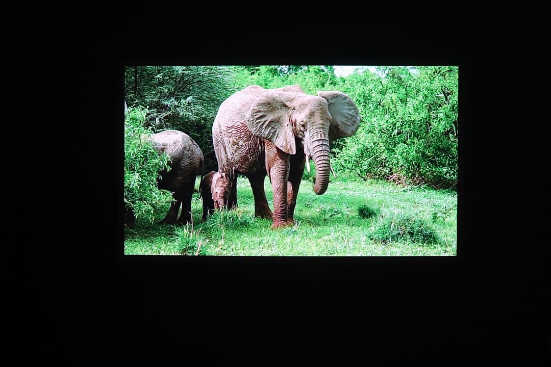 XGIMI MoGo モバイルプロジェクター 付属品完備 バッテリーOK