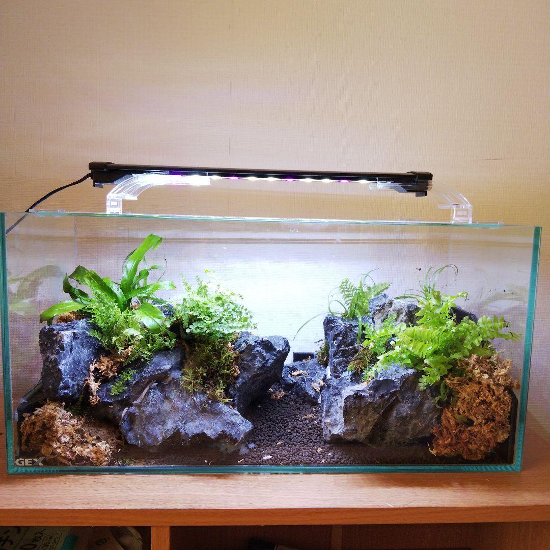 【受注生産】アクアテラリウム　カニリウム　イモリウム　苔　水槽　苔テラリウム