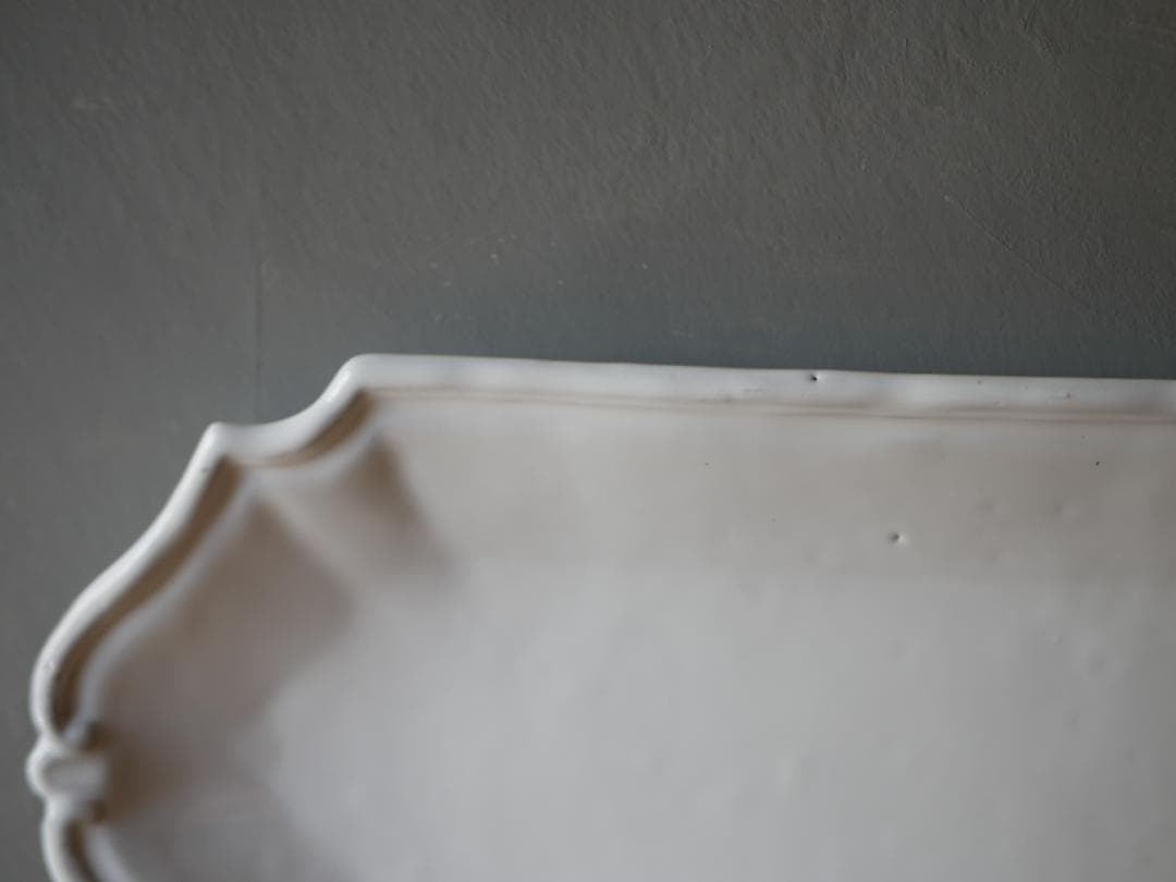 アスティエ　食器　ASTIER de VILLATTE フィッシュプラッター