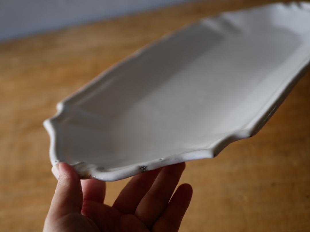 アスティエ　食器　ASTIER de VILLATTE フィッシュプラッター