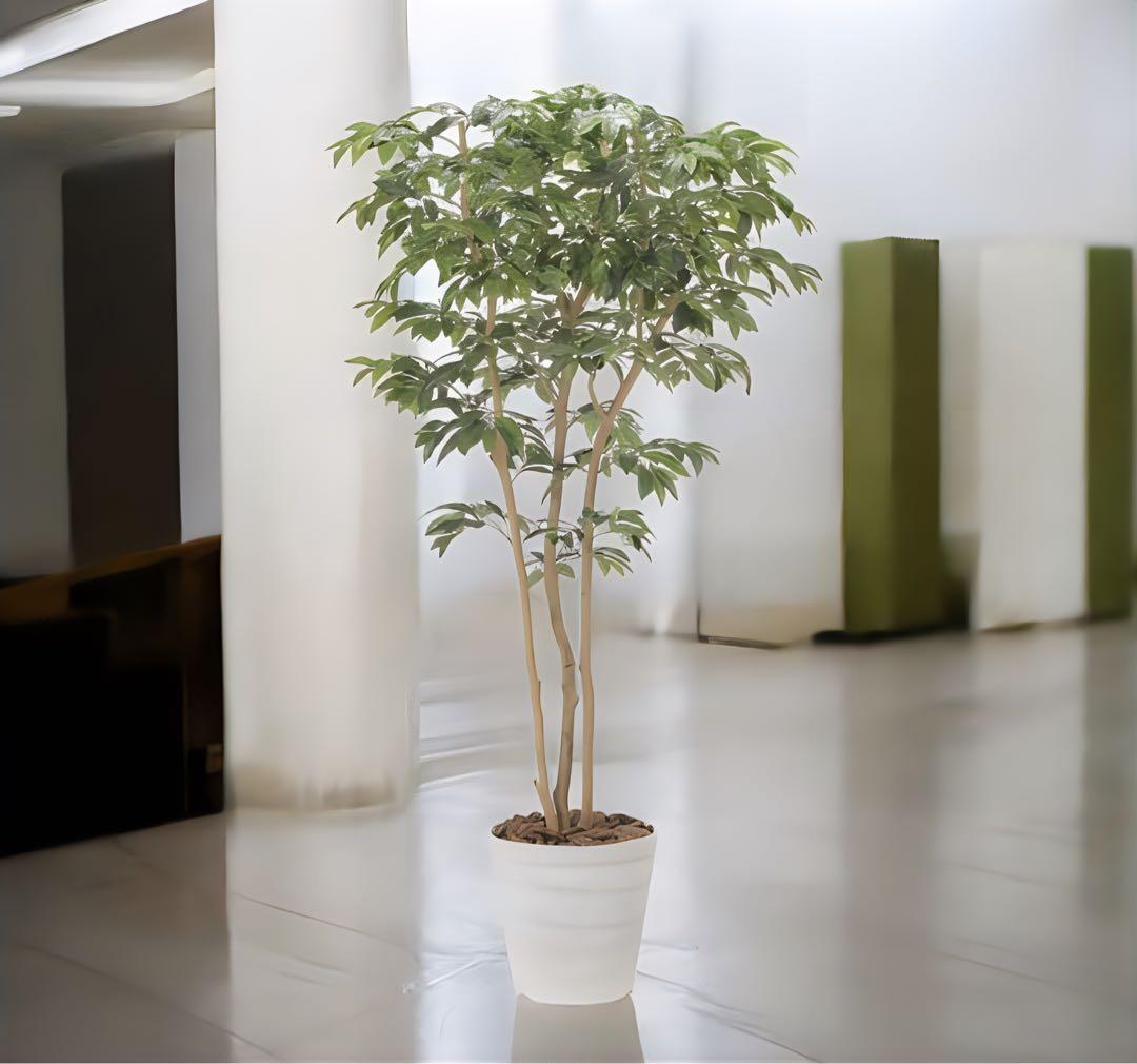 光触媒　人工観葉植物　ウォールグリーン　フェイクグリーン　デラックスアルデシア
