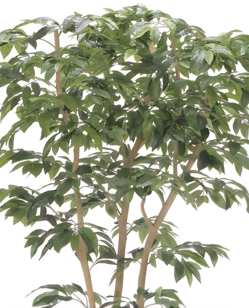 光触媒　人工観葉植物　ウォールグリーン　フェイクグリーン　デラックスアルデシア