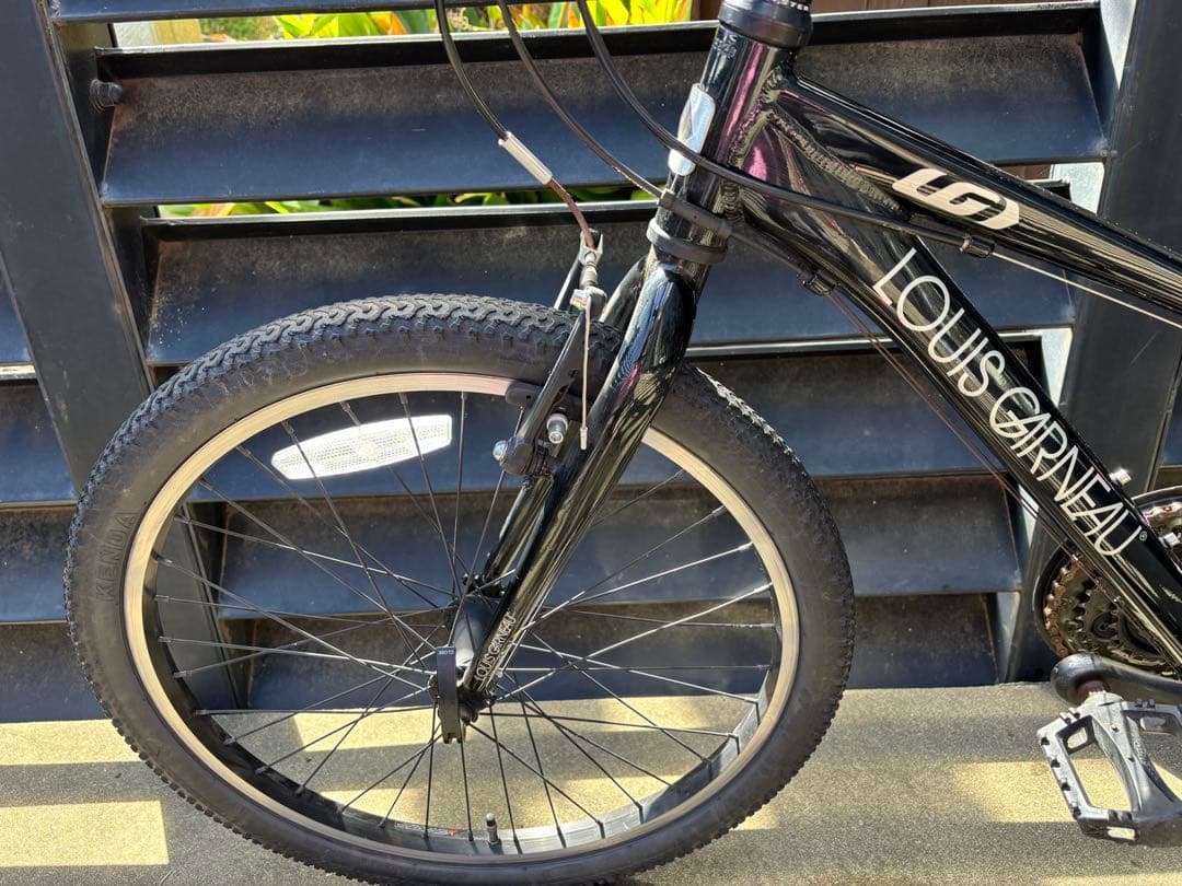 【引渡限定】LOUIS GARNEAU ルイガノ マウンテンバイク 22インチ