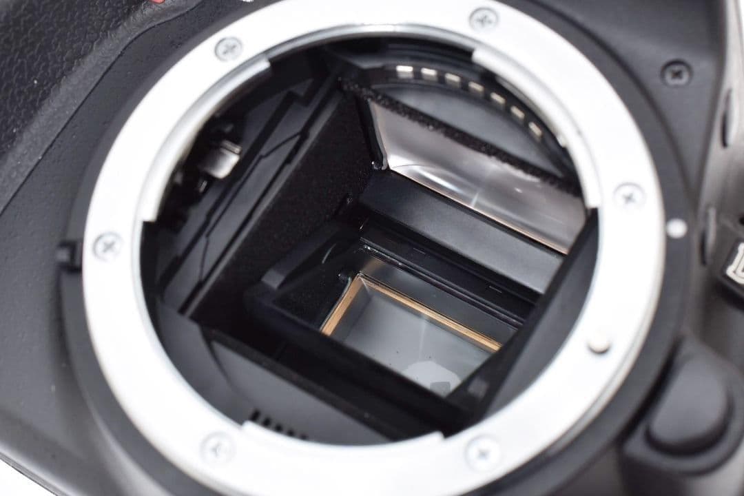 一眼レフデビュー定番の名機✨Nikon D3100✨標準ズームレンズセット✨軽量