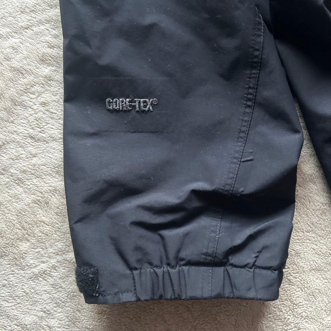 超希少 patagonia ストームジャケット GORE-TEX 2002年製