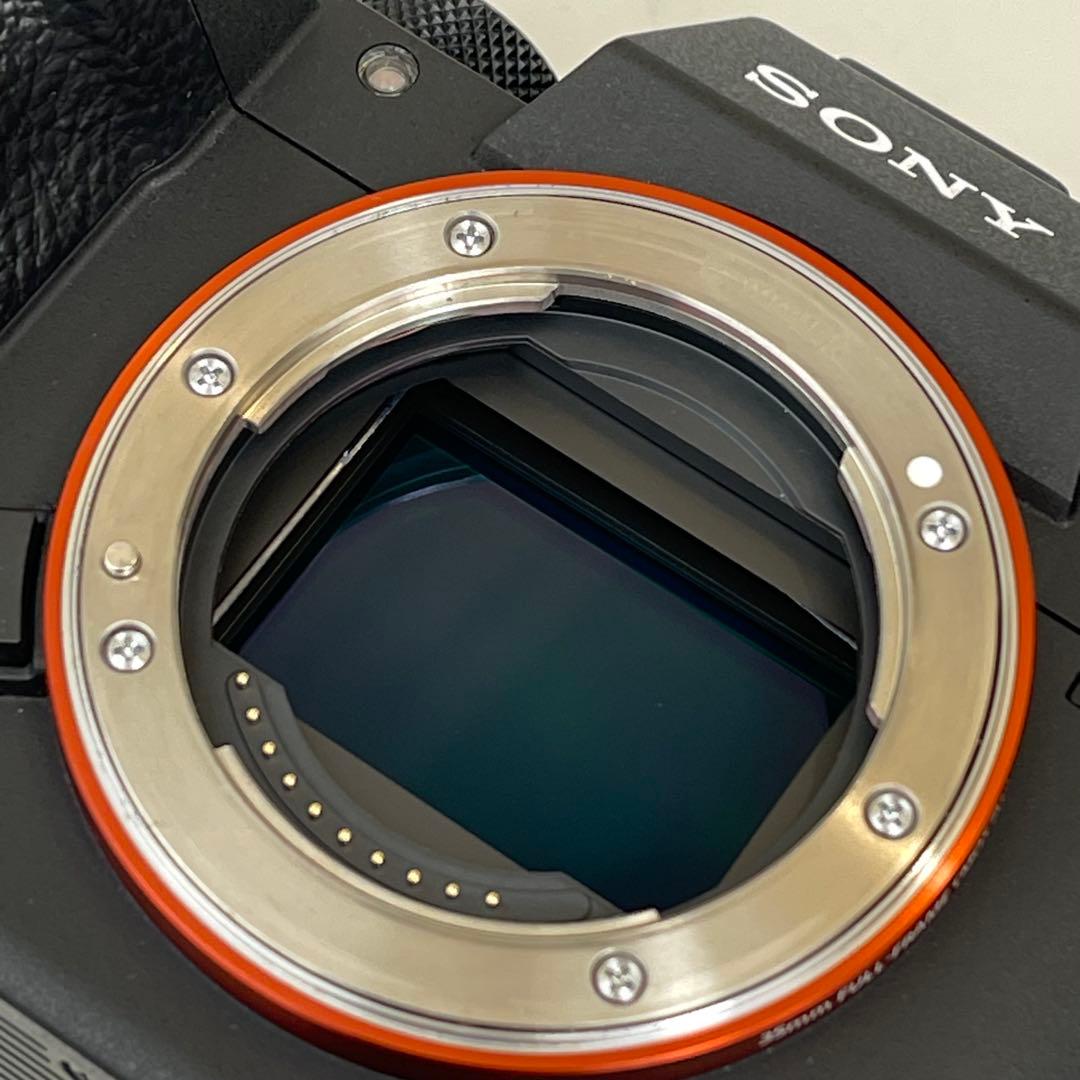 撮影枚数11877枚　SONY α7III + TAMRON 28-75mm