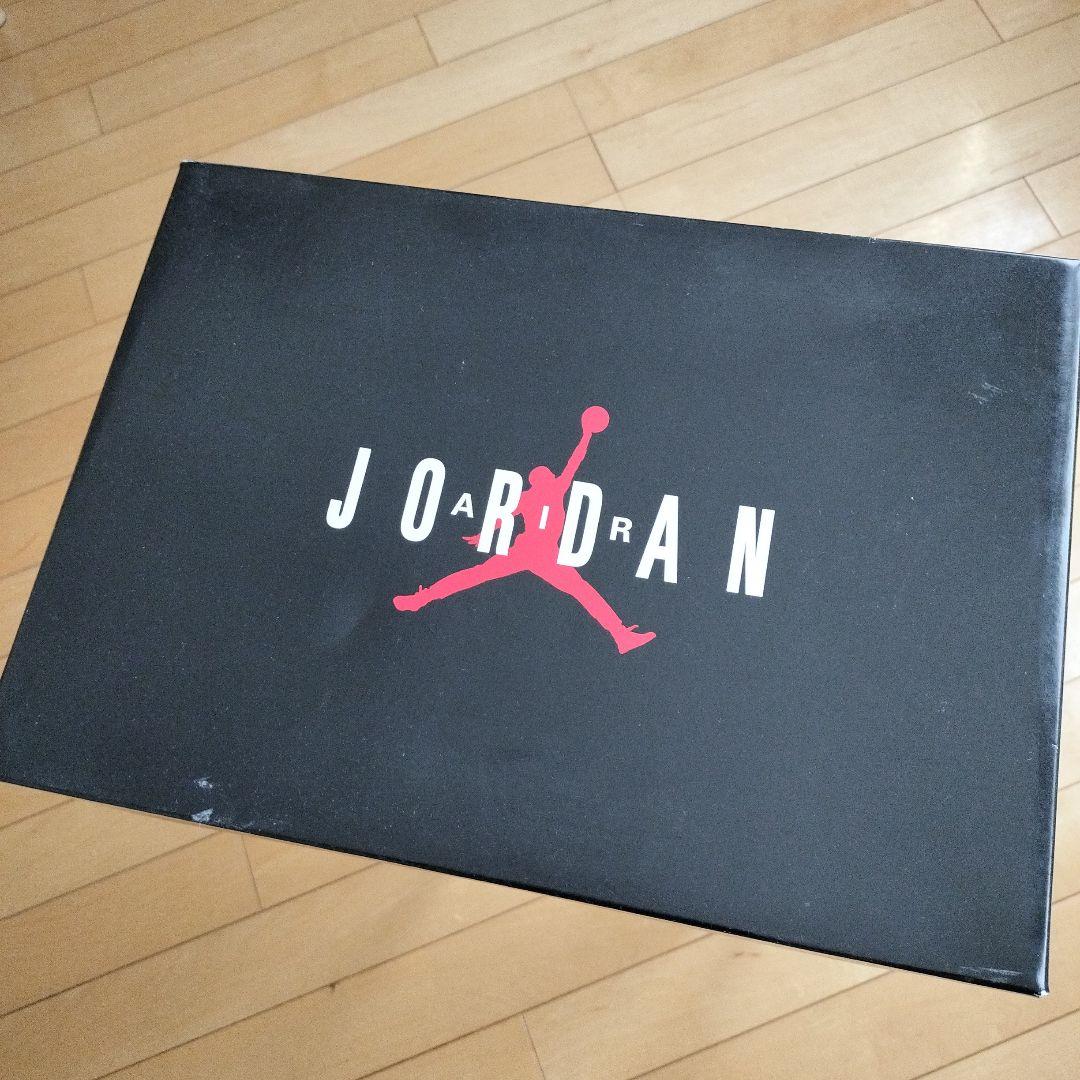 エアジョーダン11コンコルド(29cm)