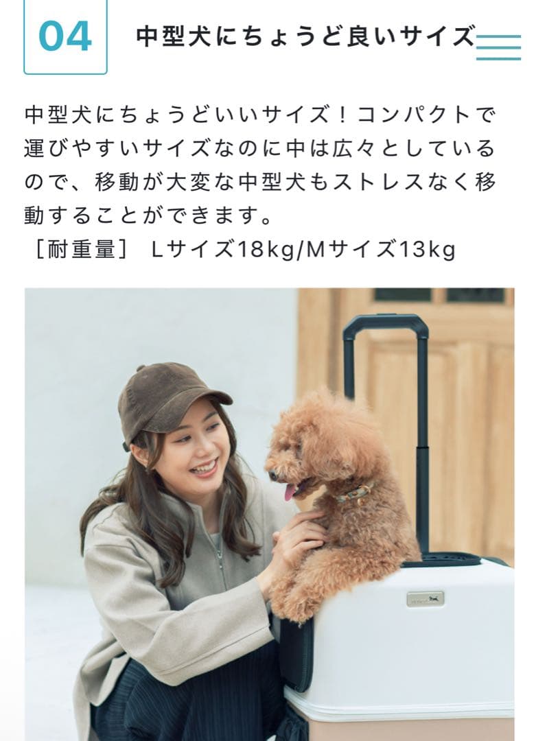 美品　petico ペチコ　犬猫　ペットキャリー　ペットカート　スリング　バッグ