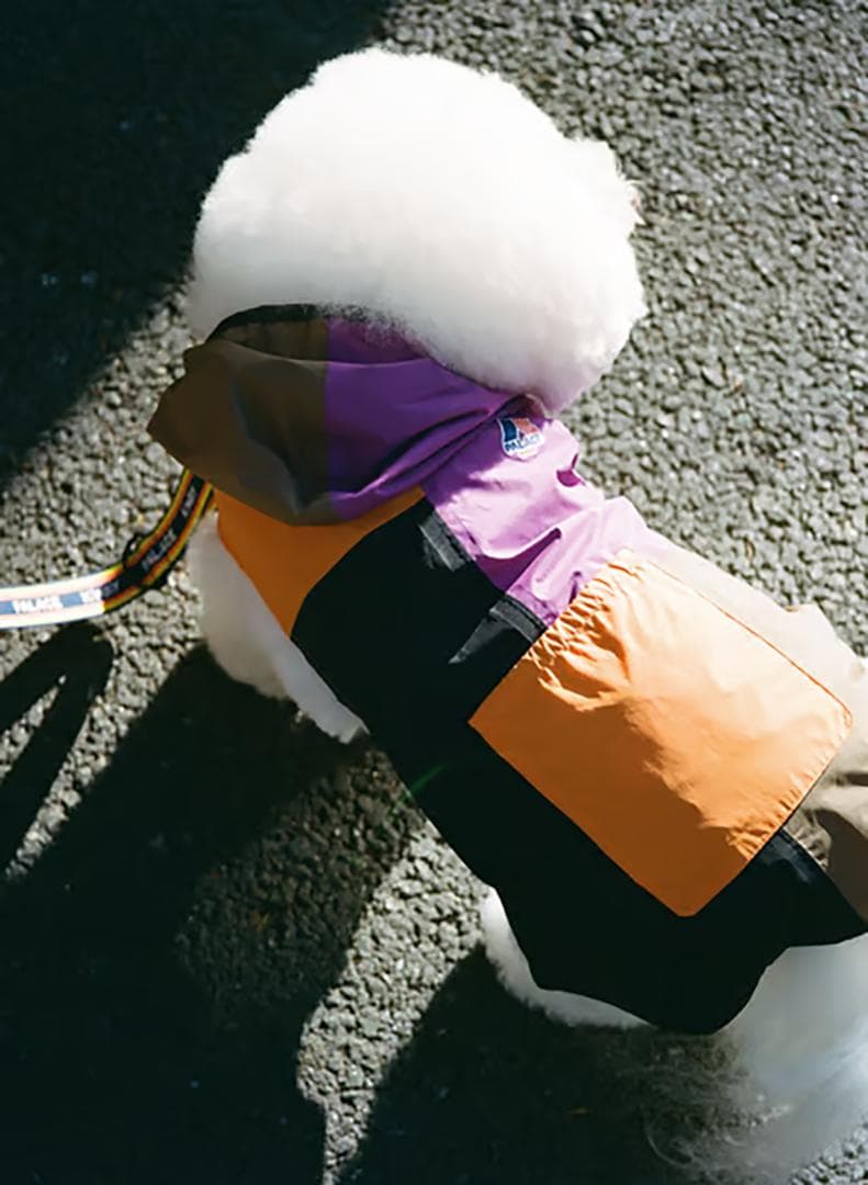 パレス PALACE / K-WAY DOG JACKET MULTI