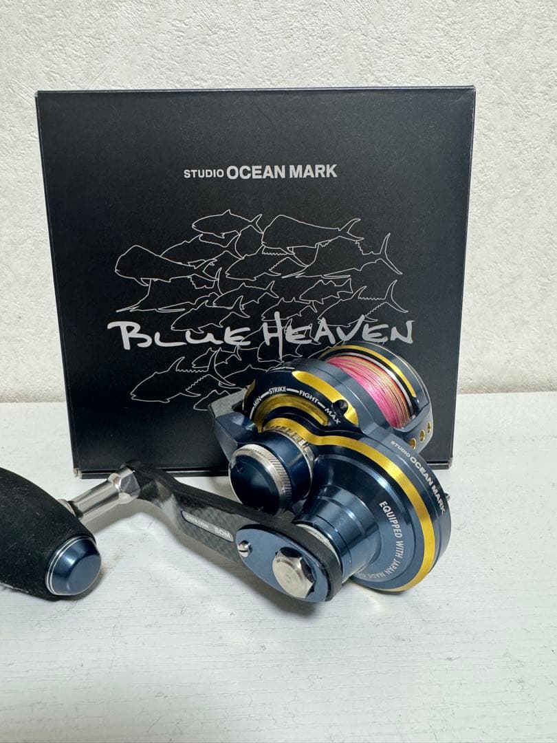 ブルーヘブン　BHL30Hi/R＆L-Ny/G(23)Spec