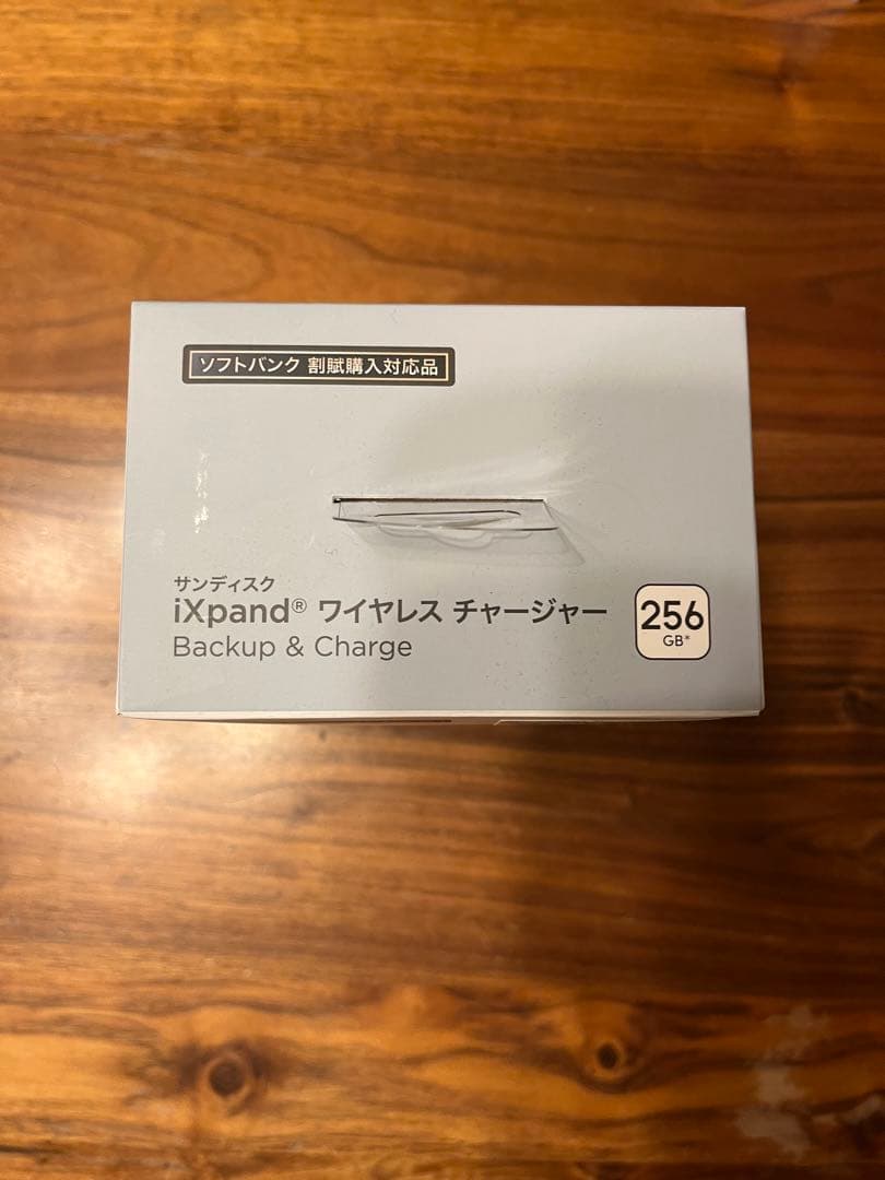 SDIZ90N-256G 説明書付き