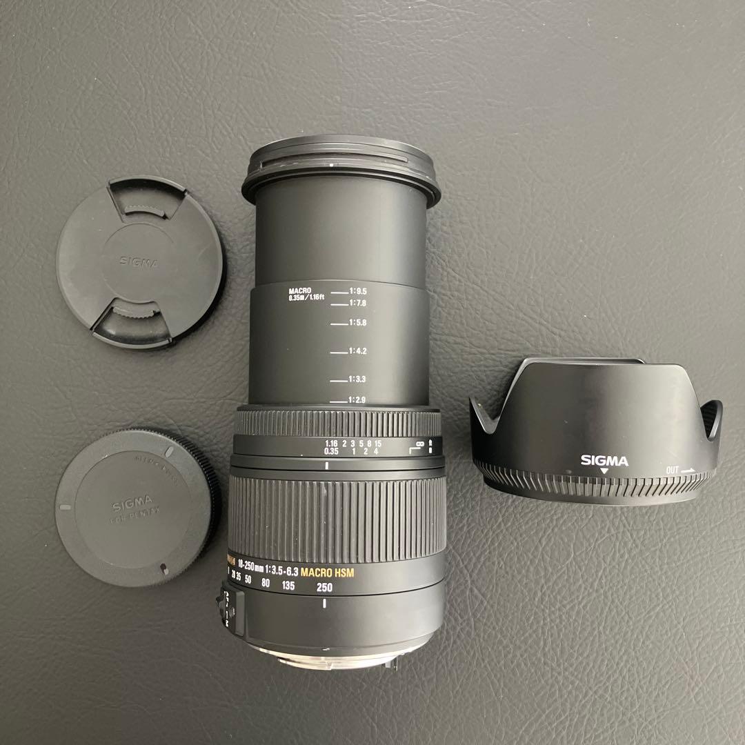 シグマ高倍率ズーム18-250mm ペンタックス　保護フィルター付