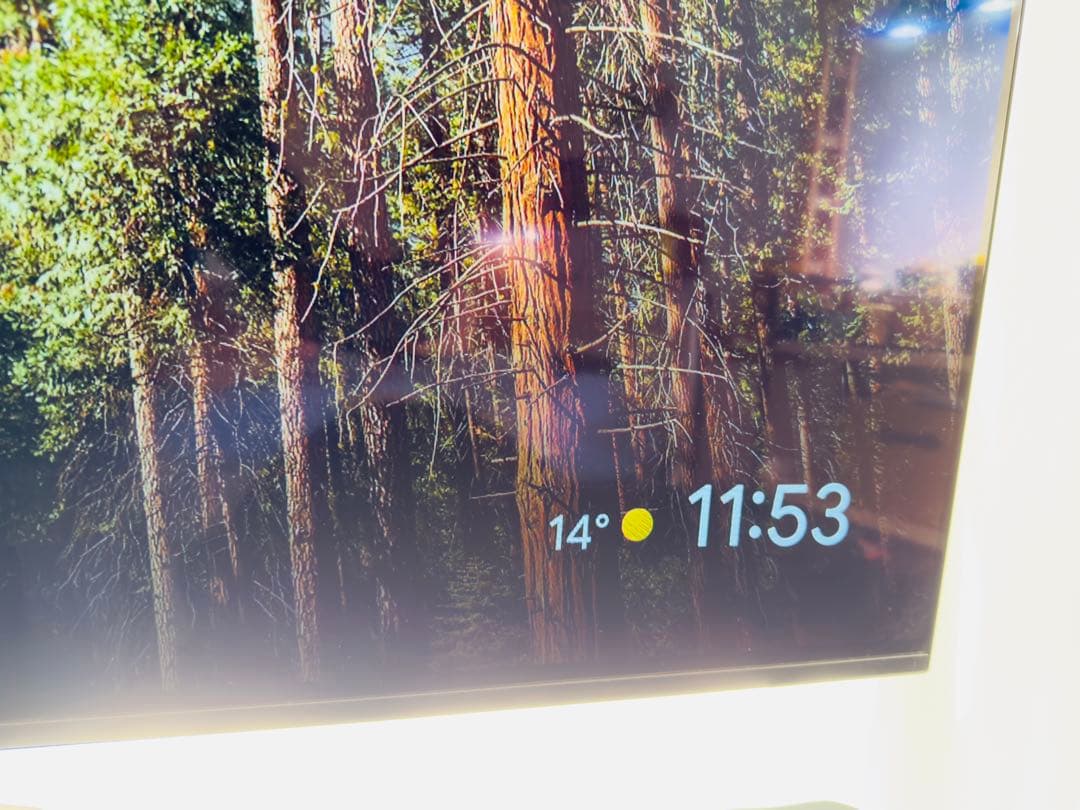 定価約30万★】SONY BRAVIA XRJ-55A80J 4K有機ELテレビ