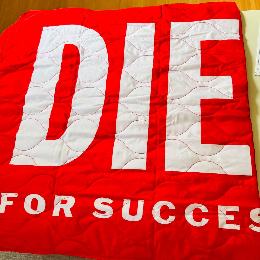 【DIESEL】オリジナルロゴ ブランケット（赤白）、専用巾着付き