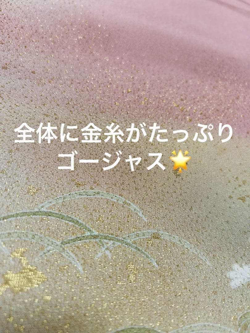 作家物　手書き友禅に金糸たっぷりの寿光織 高級色留袖6点セット　共誂え正絹長襦袢