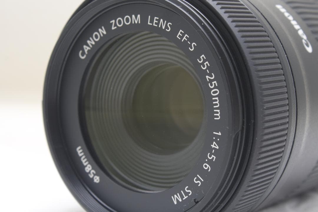 キヤノン EF-S 55-250mm F4-5.6 IS STM 0805