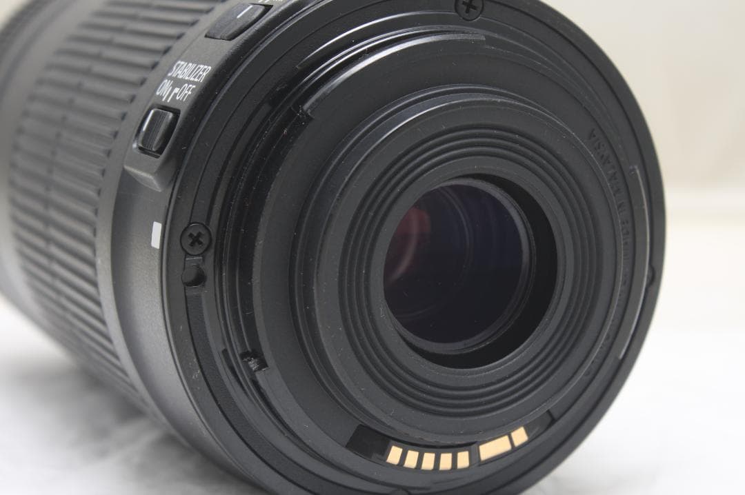 キヤノン EF-S 55-250mm F4-5.6 IS STM 0805