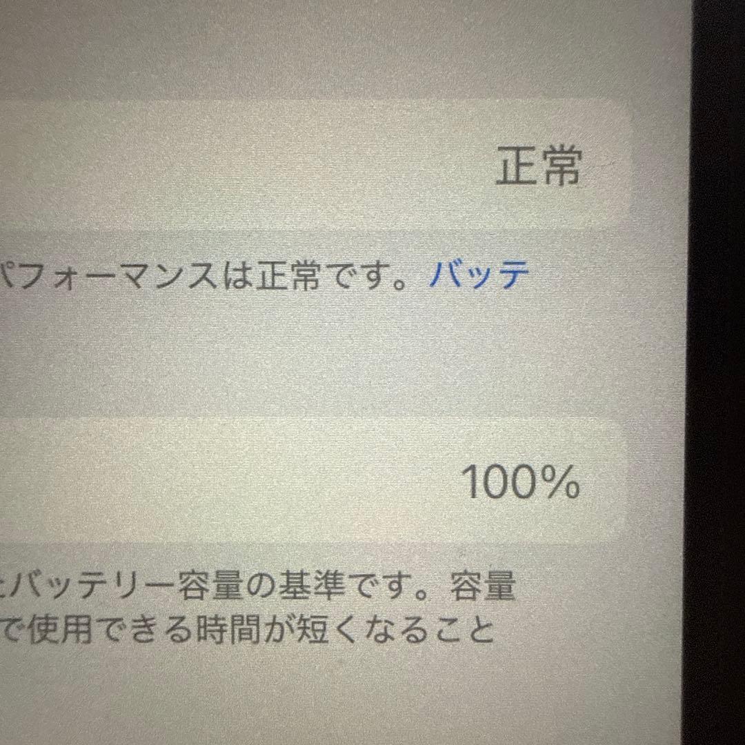 iPad本体 iPad mini A17Pro 128GB Apple Pencil Pro