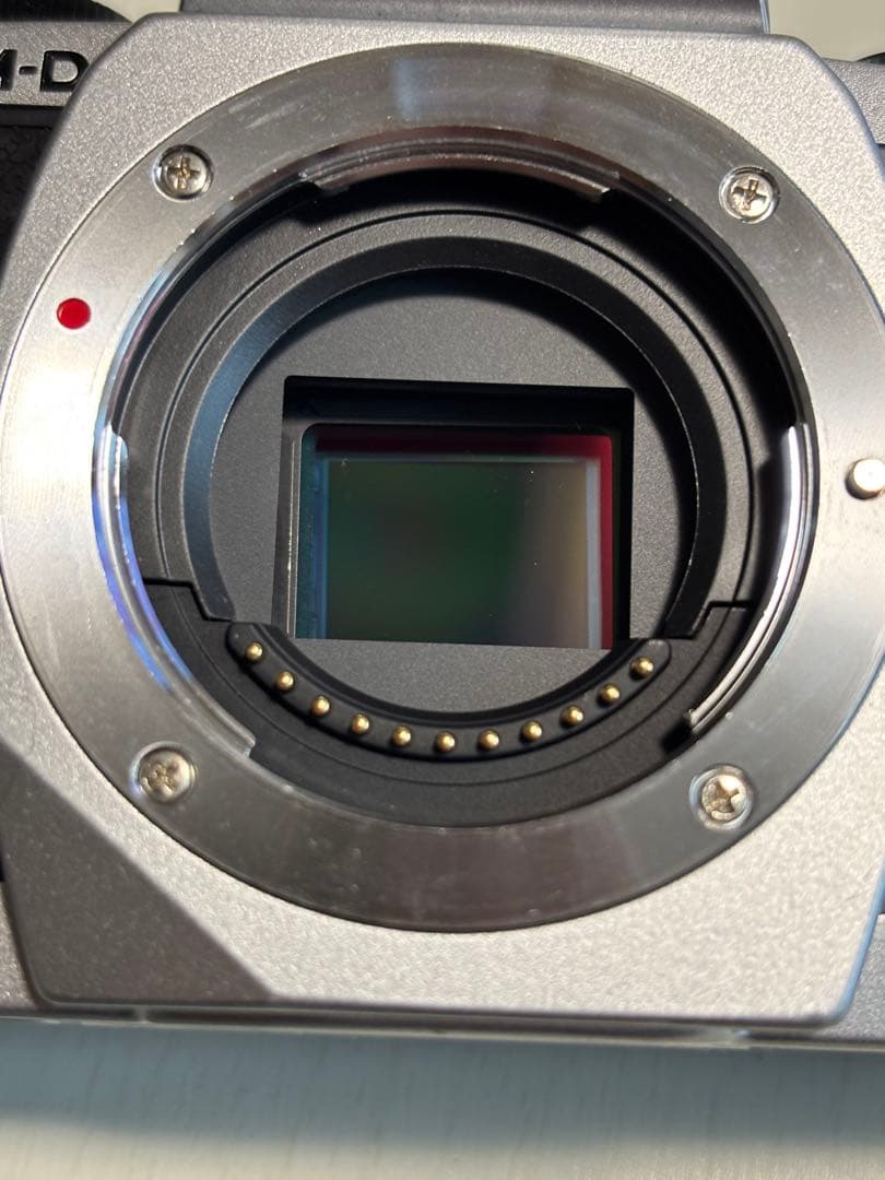 OLYMPUS OM-D E-M10 ミラーレス一眼ボディーのみ