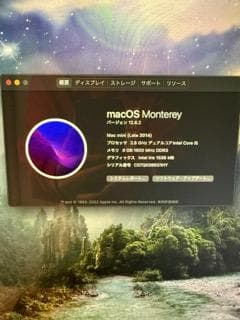 MAC mini Late2014 8GB/1TB 完動品（外箱、電源ケーブル）