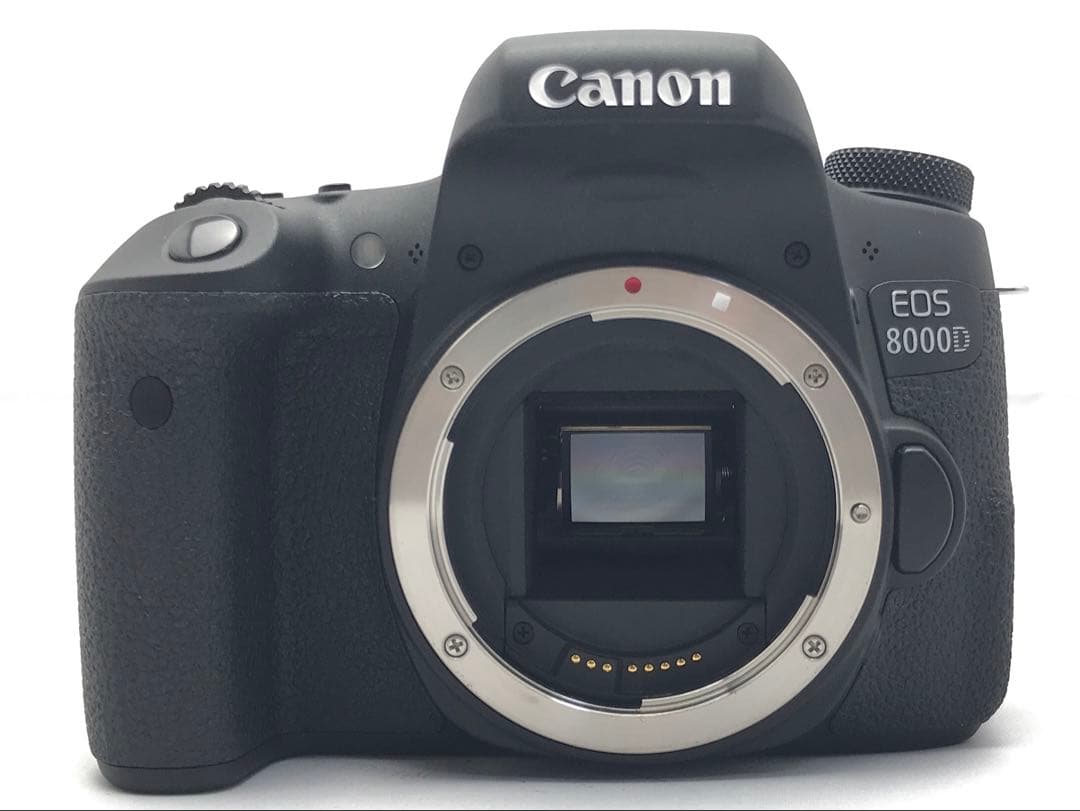 値下げ！運動会応援フルセット♪Canon EOS 8000D ダブルレンズセット